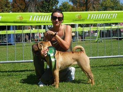 Il carattere e il cuore di Tina Samec Lipicer