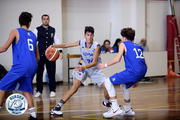 Arnaldo dall'Aurora all'Alma Pallacanestro Trieste